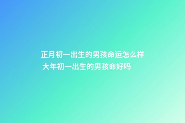 正月初一出生的男孩命运怎么样 大年初一出生的男孩命好吗-第1张-观点-玄机派